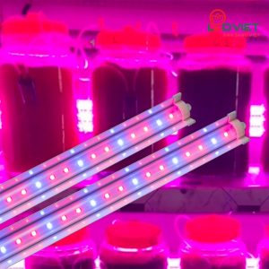 Đèn LED chuyên dụng nuôi tảo Rạng Đông T25W 120/BR