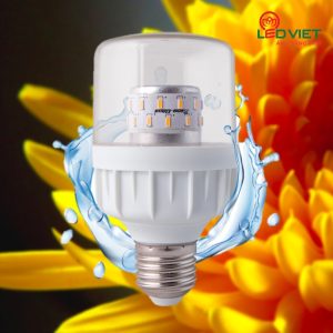 Đèn LED hoa cúc Rạng Đông TR60.HC/9W