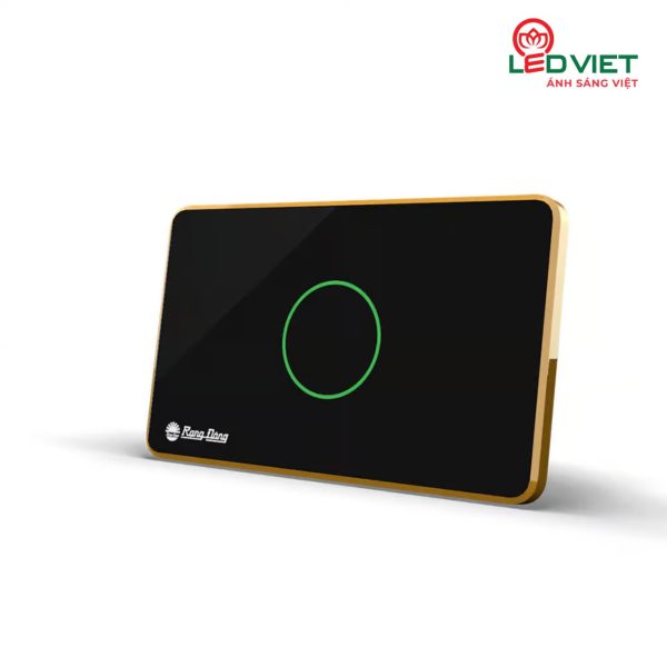 Công tắc cảm ứng Rạng Đông RD-CT.01