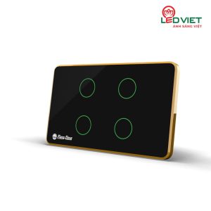 Công tắc cảm ứng Rạng Đông RD-CT.04