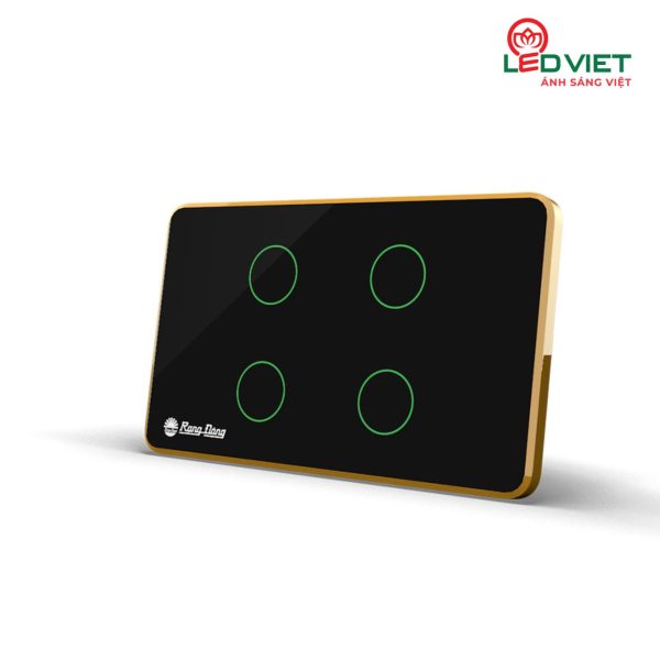 Công tắc cảm ứng Rạng Đông RD-CT.04