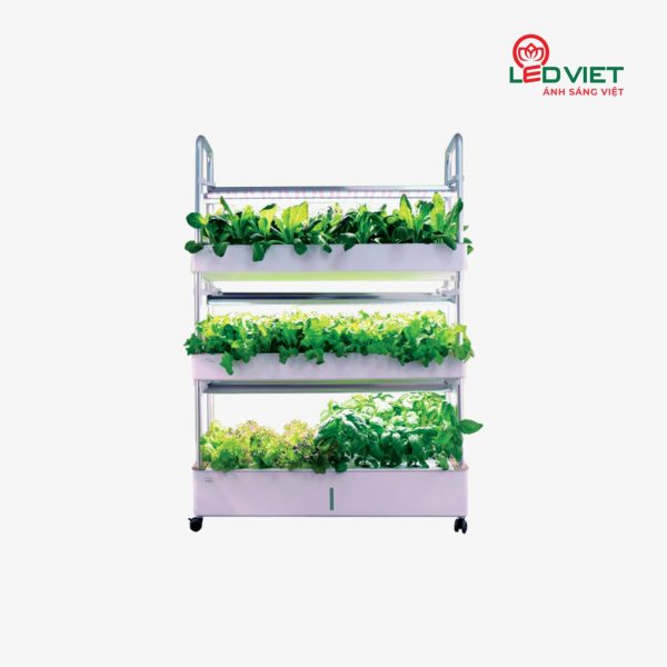 Hệ thống trồng rau xanh đô thị KTR01 90W