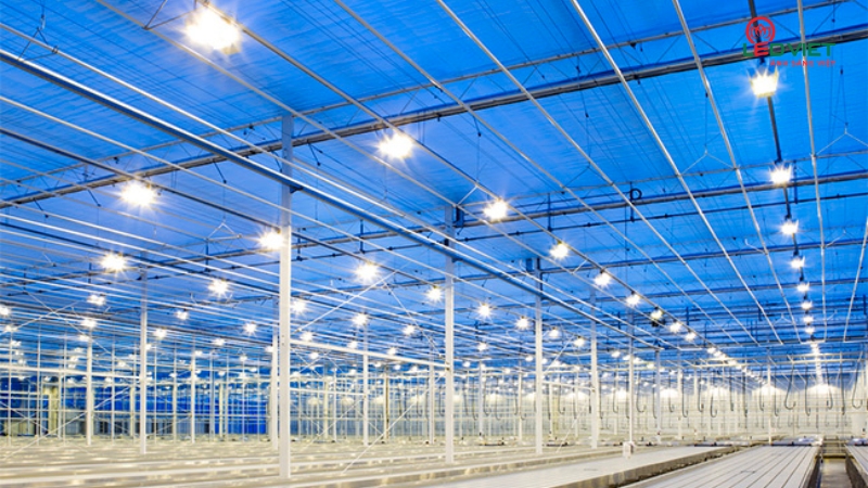 Ứng dụng đèn dự án